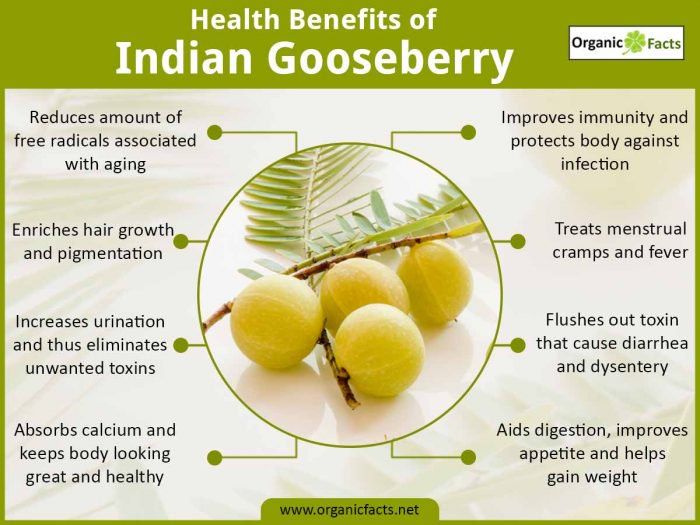 Amla is beneficial for healthcare