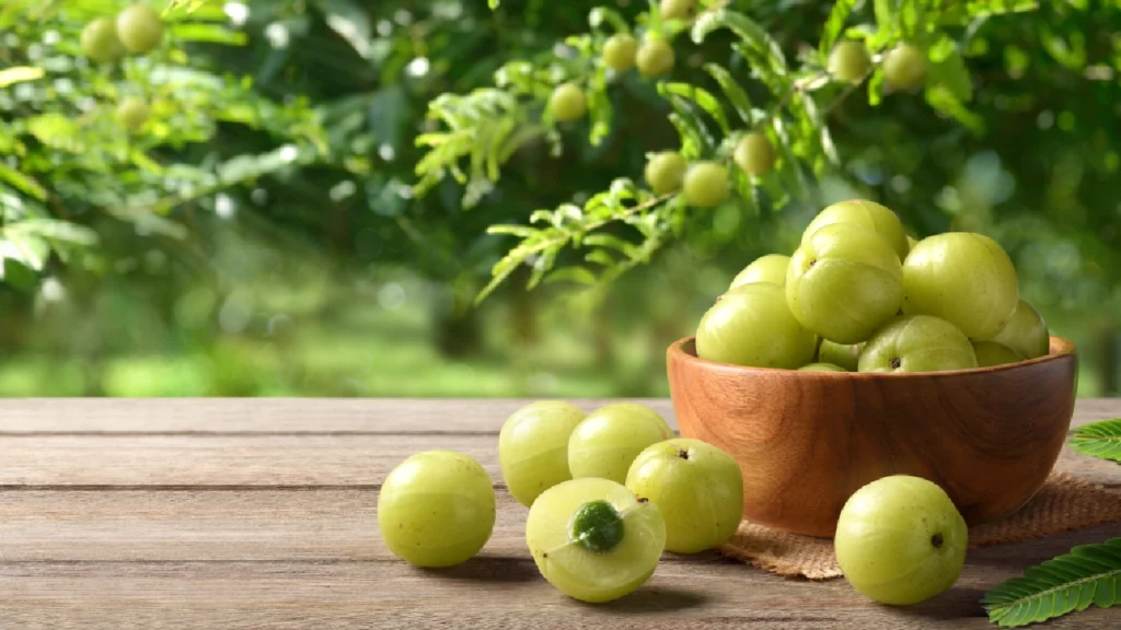 Amla is beneficial for healthcare