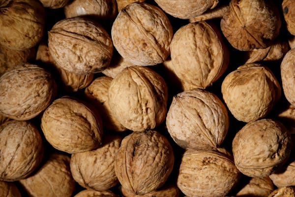 walnut